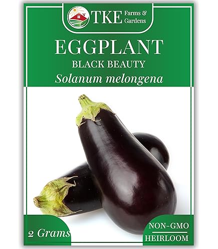 茄瓜 EGGPLANT 茄子| Tainong Seeds Inc.